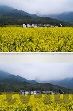 麻豆视传媒app官方直播-探索新媒体时代下的直播新风尚——麻豆视传媒APP的官方直播平台